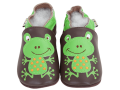 Slippers Frog