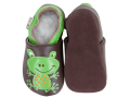 Slippers Frog